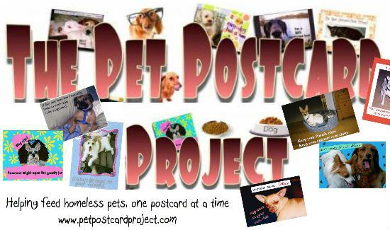 pet-postcard-project