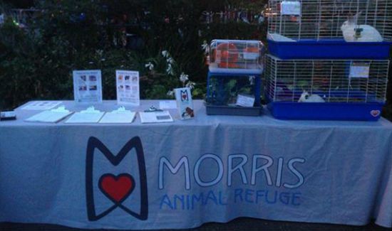 morris-animal-refuge-blog-1