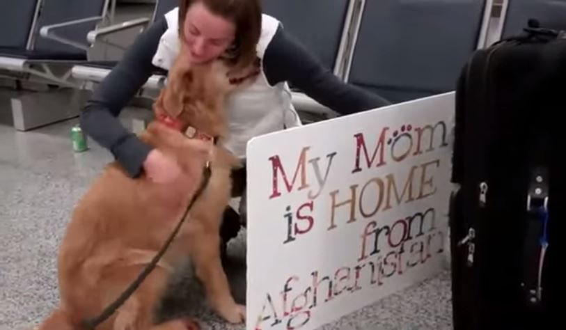 Dog Greets Veteran Mom at Airport, Can't Stop Crying from Joy