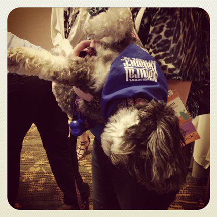 Political PAWty Animals