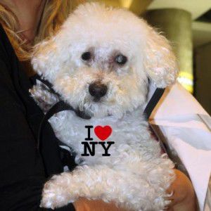 Fiona in NYC