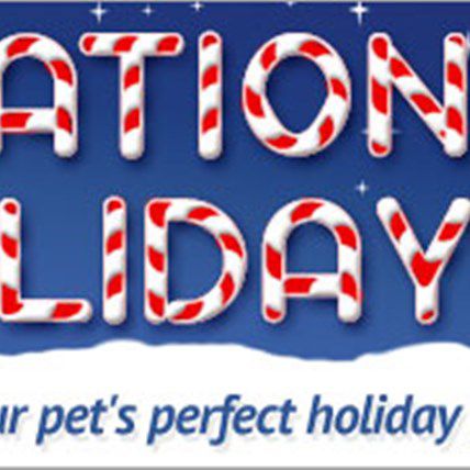 PetCareRx Announces Operation Holiday!