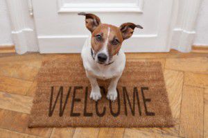 dog-welcome