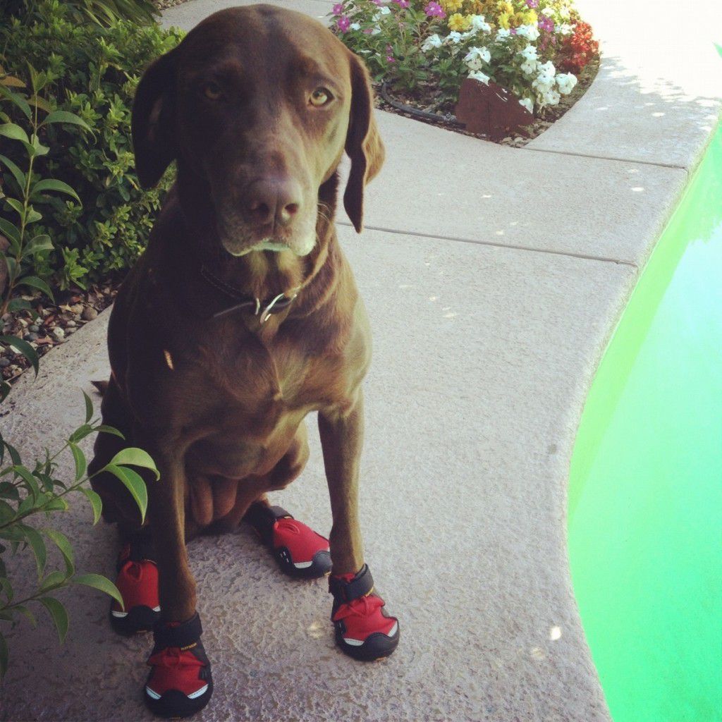 Phoenix in running shoes