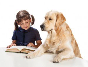 dog-learning