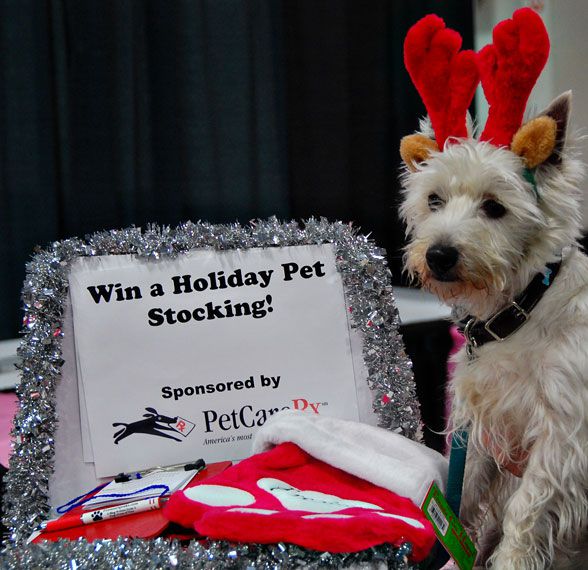 PetCareRx Sponsors Paw Stocking Giveaway at Holiday Pet Expo PetCareRx