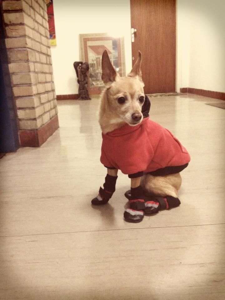 ready to walk