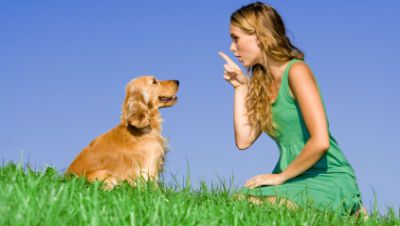 Tell-Dog-No