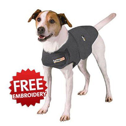 Introducing the Thundershirt