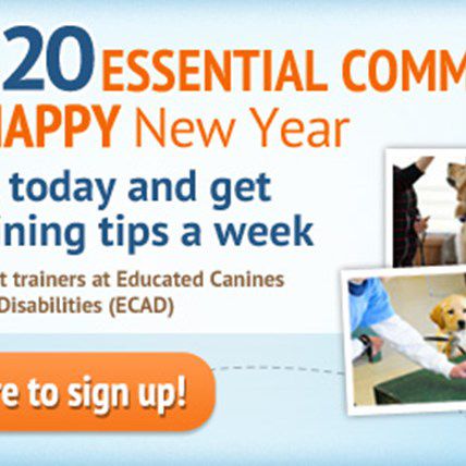 Expert Dog Training eSeries Brought to You in Partnership with ECAD!
