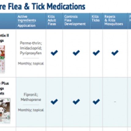 Flea and Tick Diseases Pets Can Get
