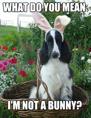Happy Easter Funny Meme