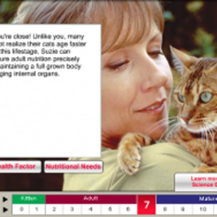 Image for The Best Web Tools for Cat Owners