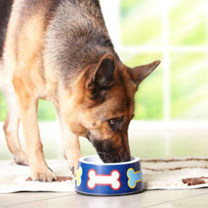 Image for Monsanto Protection Act: What it Means for Pet Food