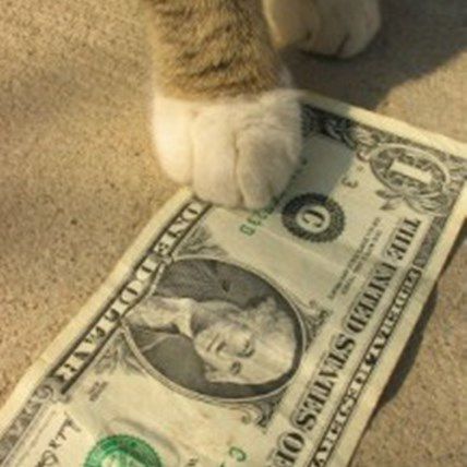 Tax Day 2013 for Pet Parents: 4 Ways to Budget Better for Pets