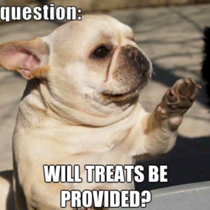 PetCareRx Deal of the Week: Bully Stick for Just $1.99!