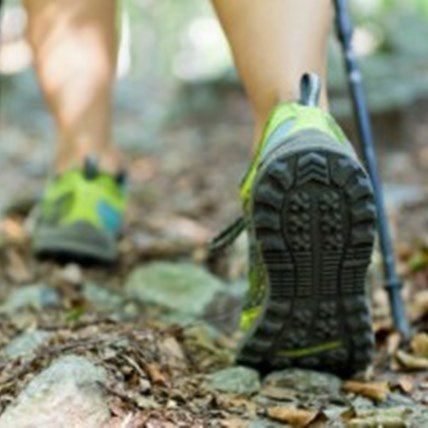 10 Things You Didn't Know About Lyme Disease