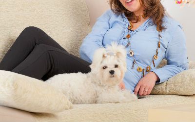 couch-dog-boarding