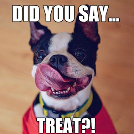 You Lucky Dog - Delicious Treat on Sale!