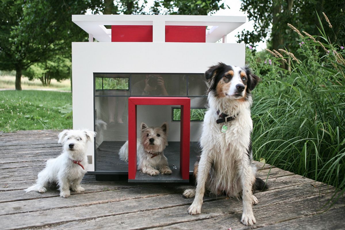 dog-house-designs-Cubix