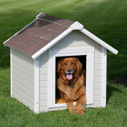 Dog Houses You Could Settle Down In | PetCareRx