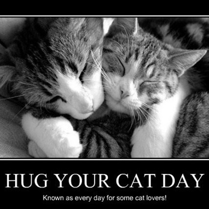 Get 15% Off Top Products to Celebrate Hug Your Cat Day! 