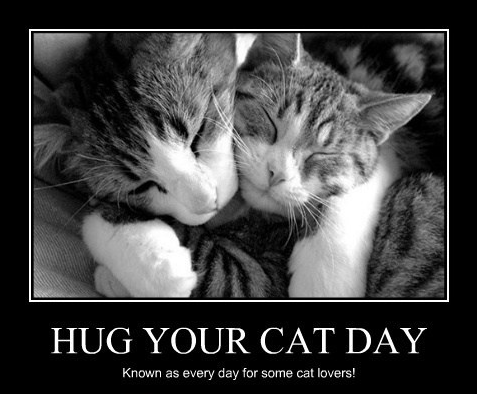Hug your cat day