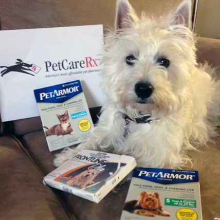 Image for PetCareRx Shopping Spree: Win $50 in PetCareRx Points! 