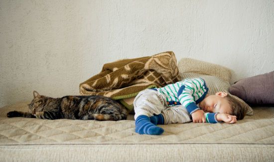 Cat_Nap