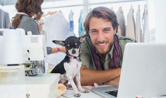 Dog_At_Office