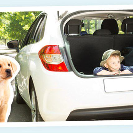 Image for Max Hits the Open Road: A Puppy's First Road Trip