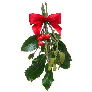 Mistletoe