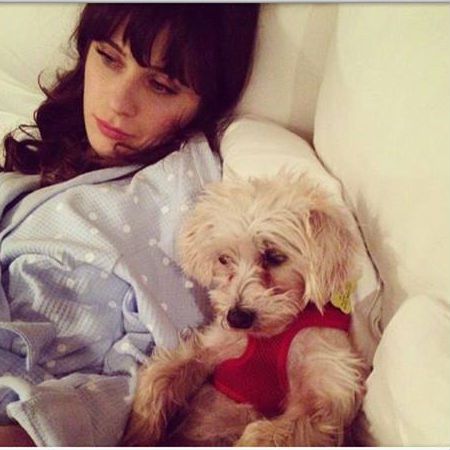 Zooey-Deschanel-and-dog