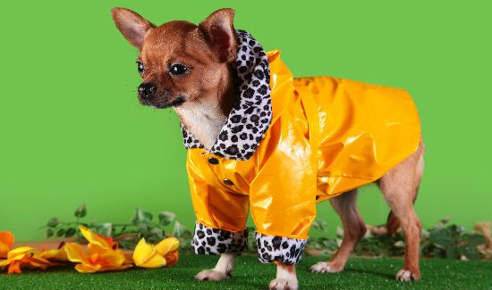Pampered-Clothing-Blog