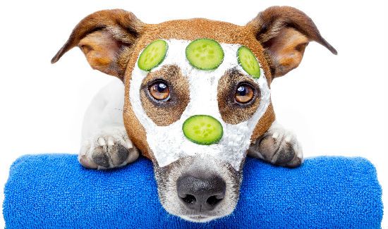Pampered-Spa-Blog