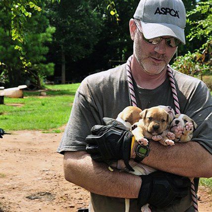 367 Pit Bulls Rescued in Second-Largest Dogfighting Raid in US History