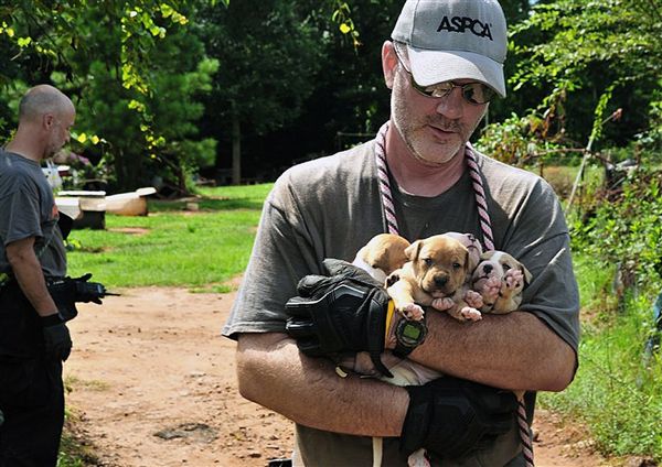 Photo Via ASPCA: Puppies being carried by an official in Auburn, Ala. 