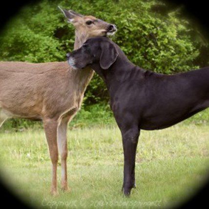 Kate and Pip: An Unlikely Friendship