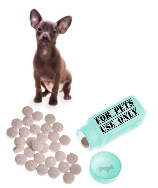 pet-supplements