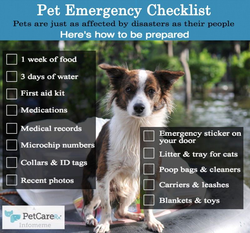 Pet-Emergency-Checklist-PetCareRx