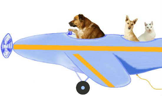 Roundup-Flying-Dog-Blog