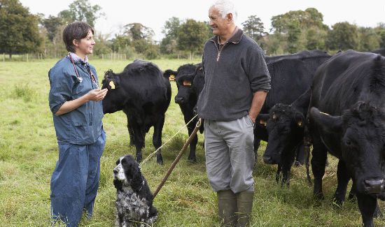 Roundup-Mobile-Vet-Blog