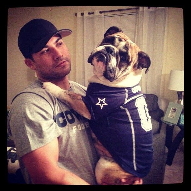 footballpug