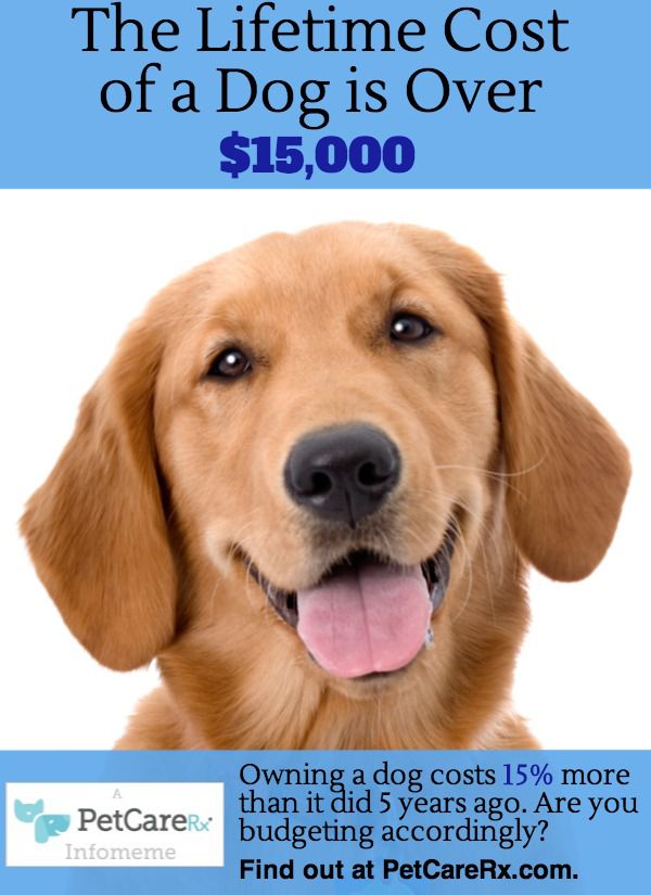 Cost-of-a-Dog-infomeme
