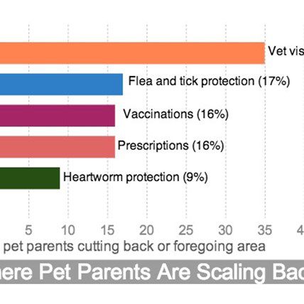 35% of Pet Parents Are Skipping Vet Visits in Order to Save Money, New ...