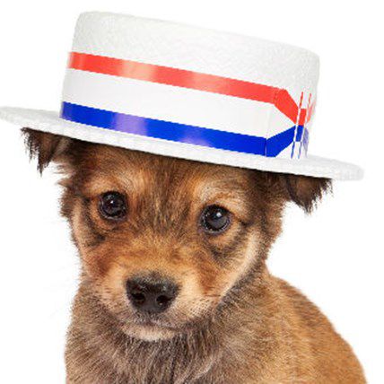 Show of Paws: Are Pets in Politics Cute or Out of Place?