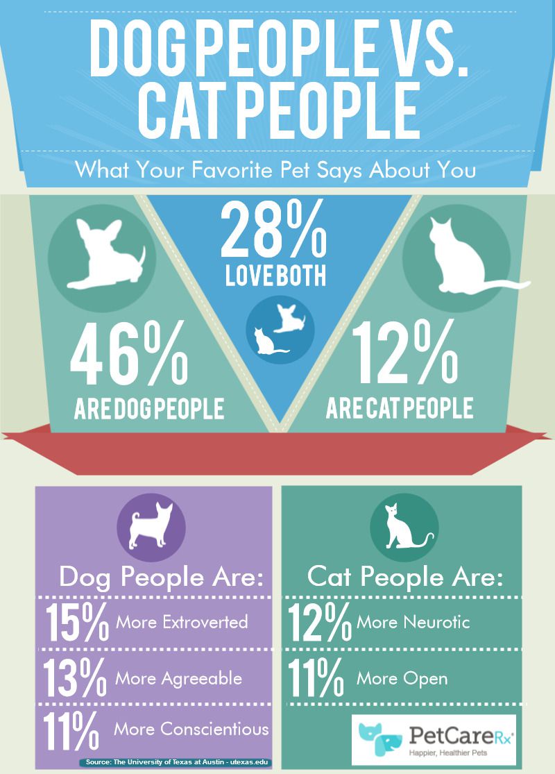 Are There More Cat People Or Dog