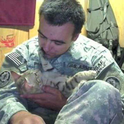 Feel Good Story: Hero Cat Saves Soldier’s Life 