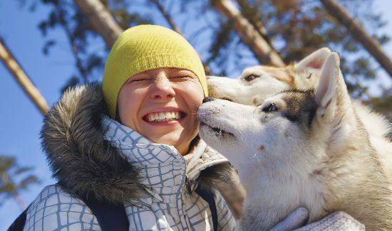 rover-find-pet-sitter