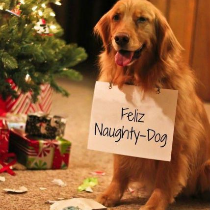 Feliz-naughty-dog